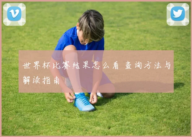 世界杯比赛结果怎么看 查询方法与解读指南