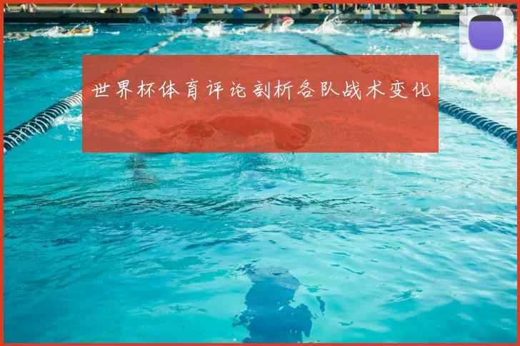 世界杯体育评论剖析各队战术变化