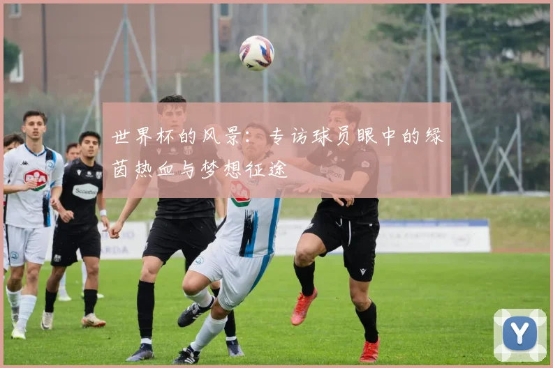 世界杯的风景：专访球员眼中的绿茵热血与梦想征途