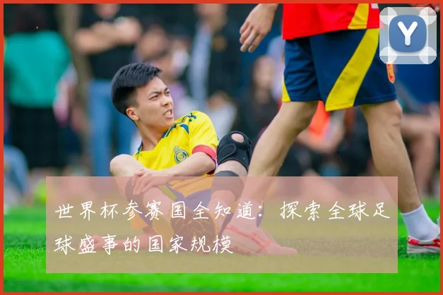 世界杯参赛国全知道：探索全球足球盛事的国家规模