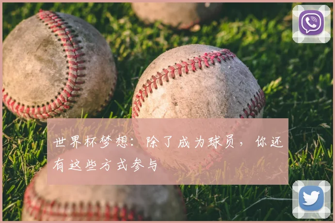 世界杯梦想：除了成为球员，你还有这些方式参与