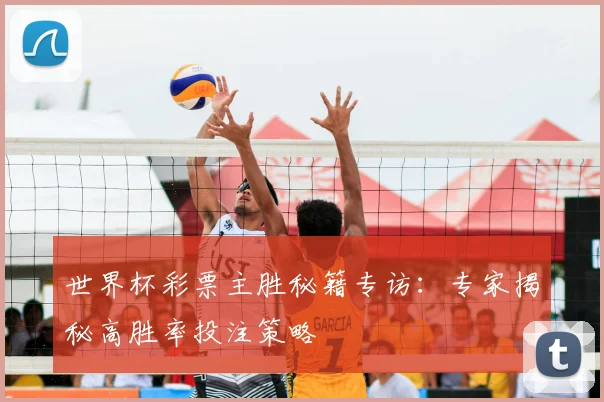 世界杯彩票主胜秘籍专访：专家揭秘高胜率投注策略
