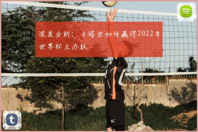 深度分析:卡塔尔如何赢得2022年世界杯主办权