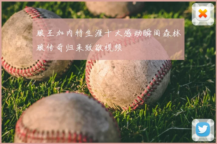 狼王加内特生涯十大感动瞬间森林狼传奇归来致敬视频